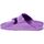 Schoenen Dames Sandalen / Open schoenen Birkenstock Sandalo Donna Viola Arizona eva Bright Violet Violet