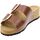 Schoenen Dames Sandalen / Open schoenen Biostar Mules Doppia Fascia Donna Marrone 17/205 new Brown