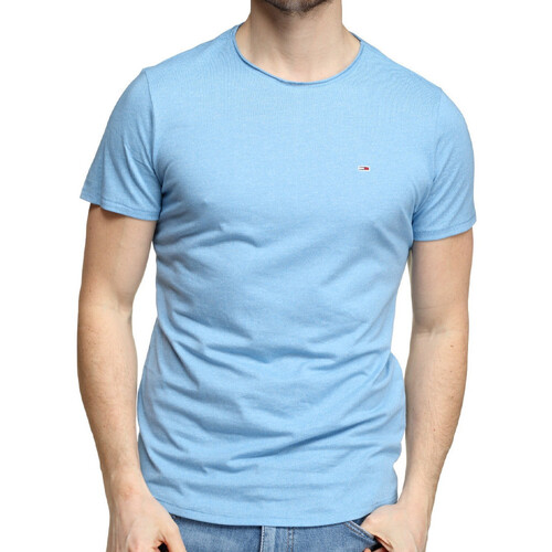 Textiel Heren T-shirts korte mouwen Tommy Hilfiger  Blauw