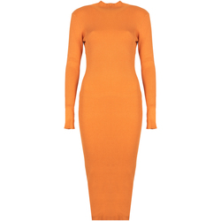 Textiel Dames Korte jurken Silvian Heach PGA22208VE Orange