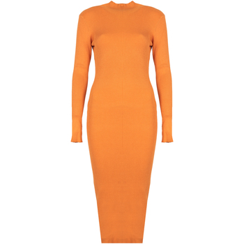 Textiel Dames Korte jurken Silvian Heach PGA22208VE Orange