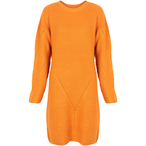 Textiel Dames Korte jurken Silvian Heach PGA22285VE Orange