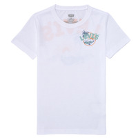 Textiel Jongens T-shirts korte mouwen Levi's SCENIC SUMMER TEE Multicolour / Wit