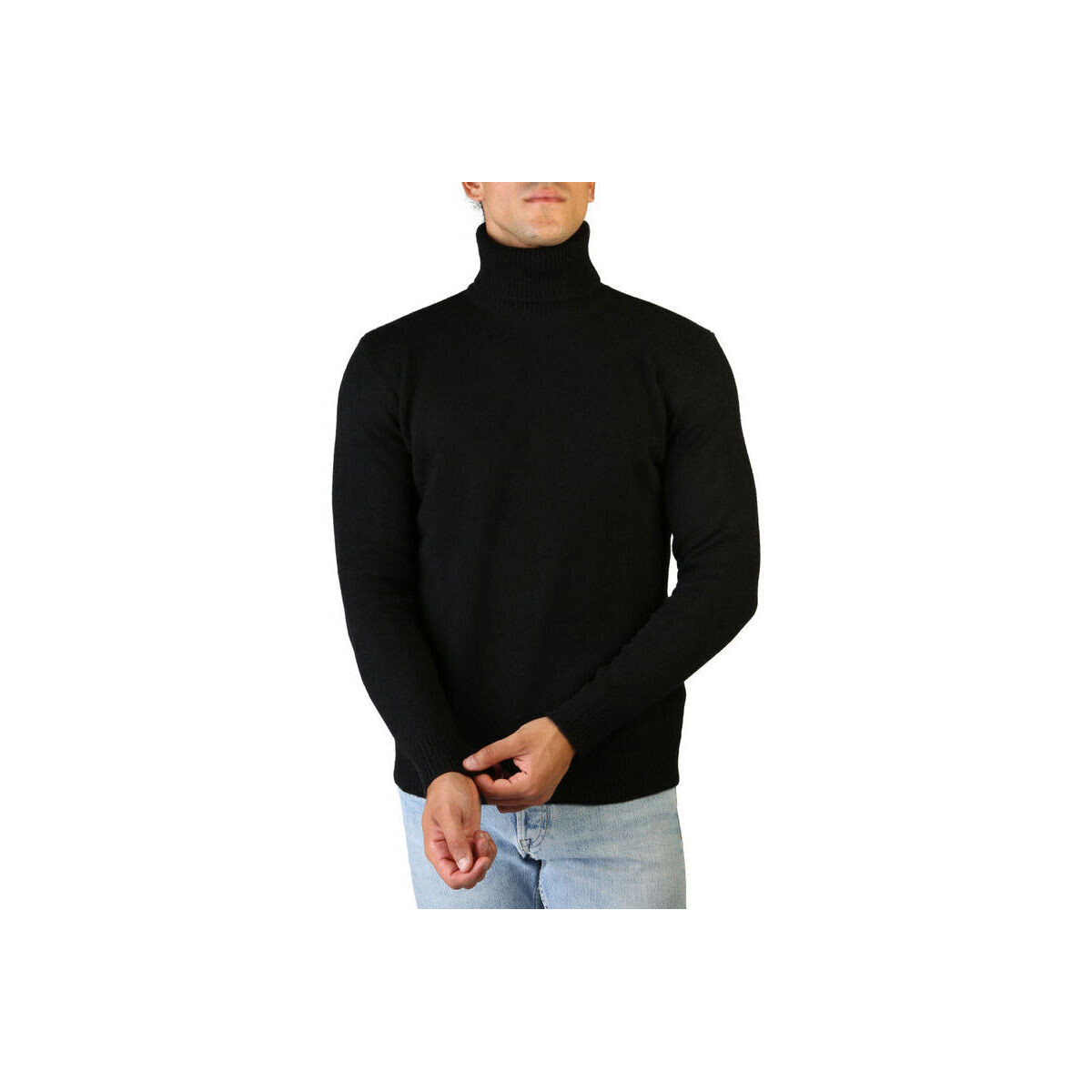 Textiel Heren Truien 100% Cashmere Jersey roll neck Zwart