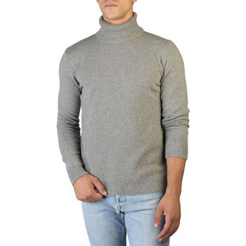 Textiel Heren Truien 100% Cashmere Jersey roll neck Grijs