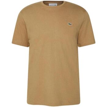 Lacoste  Brown
