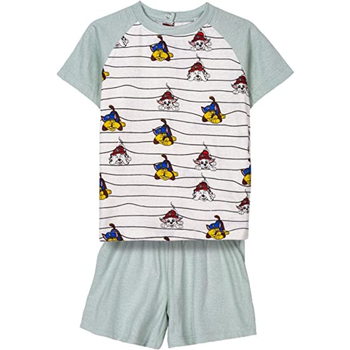 Textiel Kinderen Pyjama's / nachthemden Dessins Animés 2900001166 Groen