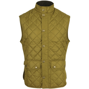 Textiel Heren Jacks / Blazers Barbour Lowerdale Gilet Brown