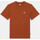 Textiel Heren T-shirts & Polo’s Dickies Summerdale ss tee bombay Brown