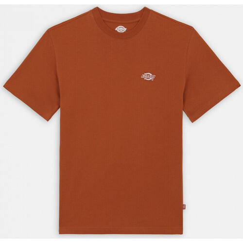 Textiel Heren T-shirts & Polo’s Dickies Summerdale ss tee bombay Brown
