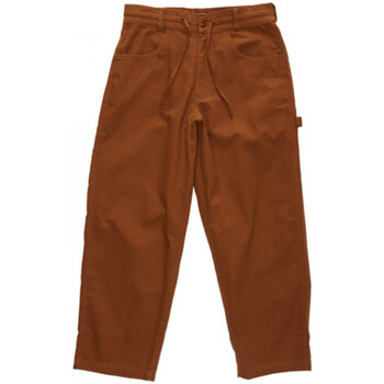 Textiel Heren Broeken / Pantalons DC Shoes Trench Brown