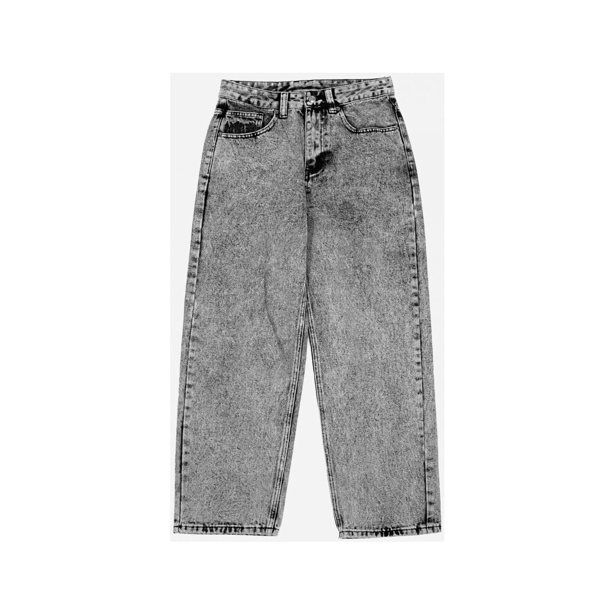Textiel Heren Broeken / Pantalons Wasted Pant casper snow Grijs