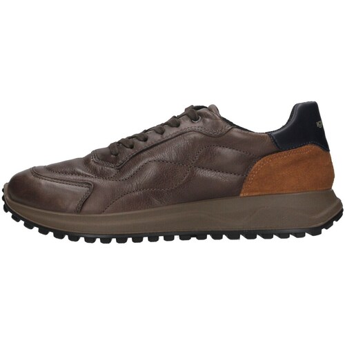 Schoenen Heren Lage sneakers IgI&CO 4640722 Brown