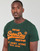 Textiel Heren T-shirts korte mouwen Superdry NEON VL T SHIRT Groen