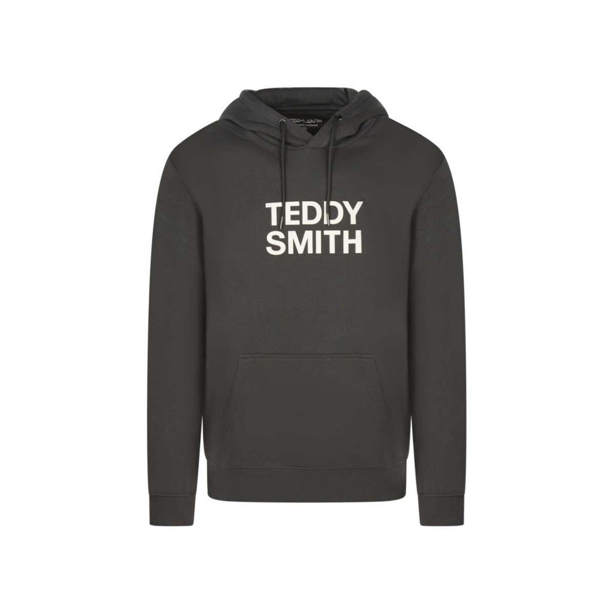 Textiel Heren Sweaters / Sweatshirts Teddy Smith  Grijs
