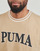 Textiel Heren T-shirts korte mouwen Puma PUMA SQUAD BIG GRAPHIC TEE Beige