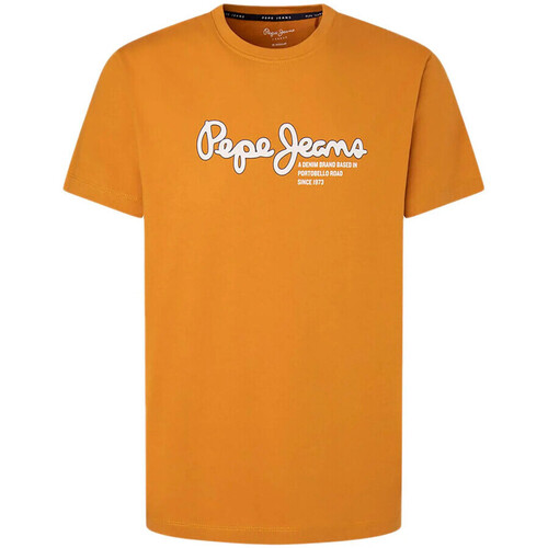 Textiel Heren T-shirts korte mouwen Pepe jeans  Orange
