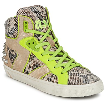 Schoenen Dames Hoge sneakers Ash SONIC Python / Geel