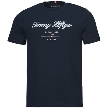 Textiel Heren T-shirts korte mouwen Tommy Hilfiger SCRIPT LOGO TEE Marine