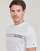 Textiel Heren T-shirts korte mouwen Tommy Hilfiger MONOTYPE STRIPE Wit
