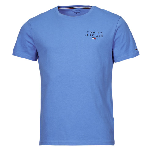 Textiel Heren T-shirts korte mouwen Tommy Hilfiger CN SS TEE LOGO Blauw