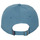 Accessoires Heren Pet Patagonia P-6 LABEL TRAD CAP Blauw