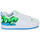 Schoenen Heren Lage sneakers DC Shoes COURT GRAFFIK Wit / Blauw