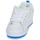 Schoenen Heren Lage sneakers DC Shoes COURT GRAFFIK Wit / Blauw