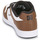 Schoenen Heren Lage sneakers DC Shoes MANTECA 4 SN Wit / Brown