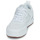 Schoenen Heren Lage sneakers DC Shoes TRANSIT Wit / Gum