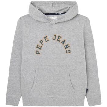 Textiel Jongens Sweaters / Sweatshirts Pepe jeans  Grijs