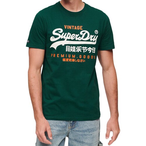 Textiel Heren T-shirts korte mouwen Superdry 223217 Groen