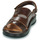 Schoenen Heren Sandalen / Open schoenen Casual Attitude NEW002 Brown
