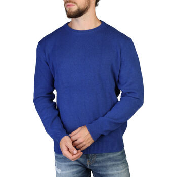 Textiel Heren Truien 100% Cashmere - c-neck-m Blauw