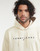 Textiel Heren Sweaters / Sweatshirts Tommy Jeans TJM REG LINEAR LOGO HOODIE EXT Beige