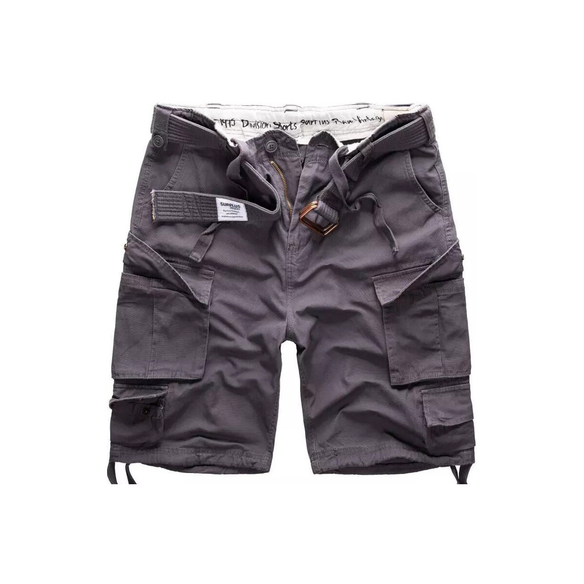Textiel Heren Korte broeken / Bermuda's Surplus Divisie Shorts Oversize Grijs