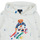 Textiel Kinderen Sweaters / Sweatshirts Polo Ralph Lauren BEAR PO HOOD-KNIT SHIRTS-SWEATSHIRT Wit / Multicolour