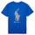 Textiel Jongens T-shirts korte mouwen Polo Ralph Lauren SS CN-KNIT SHIRTS-T-SHIRT Blauw