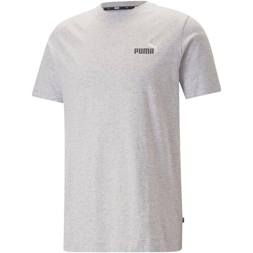 Textiel Heren T-shirts korte mouwen Puma 223842 Grijs
