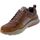 Schoenen Heren Lage sneakers Skechers Sneakers Benago Treno Uomo Cuoio 66204.cdb Brown