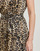 Textiel Dames Korte jurken Guess SL ROMANA FLARE Leopard