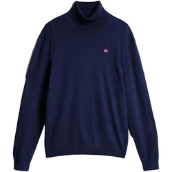 Textiel Heren Sweaters / Sweatshirts Napapijri Damavand T 1 Blauw