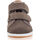 Schoenen Jongens Lage sneakers Alma gympen / sneakers baby bruin Brown