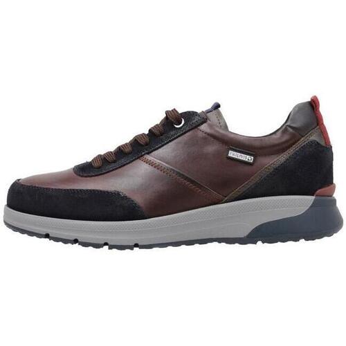 Schoenen Heren Lage sneakers Pikolinos CORDOBA M1W-6144C2 Brown