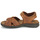 Schoenen Heren Sandalen / Open schoenen Panama Jack SANDERS BASICS C4 Cuir