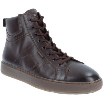 Schoenen Heren Sneakers NeroGiardini I303061U Brown