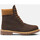 Schoenen Heren Laarzen Timberland Prem 6 in lace waterproof boot Brown
