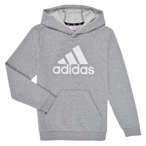 Textiel Jongens Sweaters / Sweatshirts Adidas Sportswear U BL HOODIE Grijs / Wit