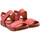 Schoenen Dames Sandalen / Open schoenen El Naturalista 2565011JA005 Grijs