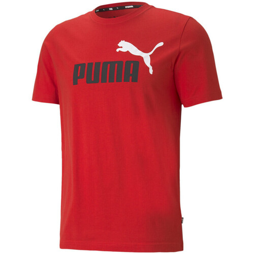 Textiel Heren T-shirts & Polo’s Puma  Rood